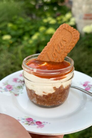biscoff mini cheesecake cups